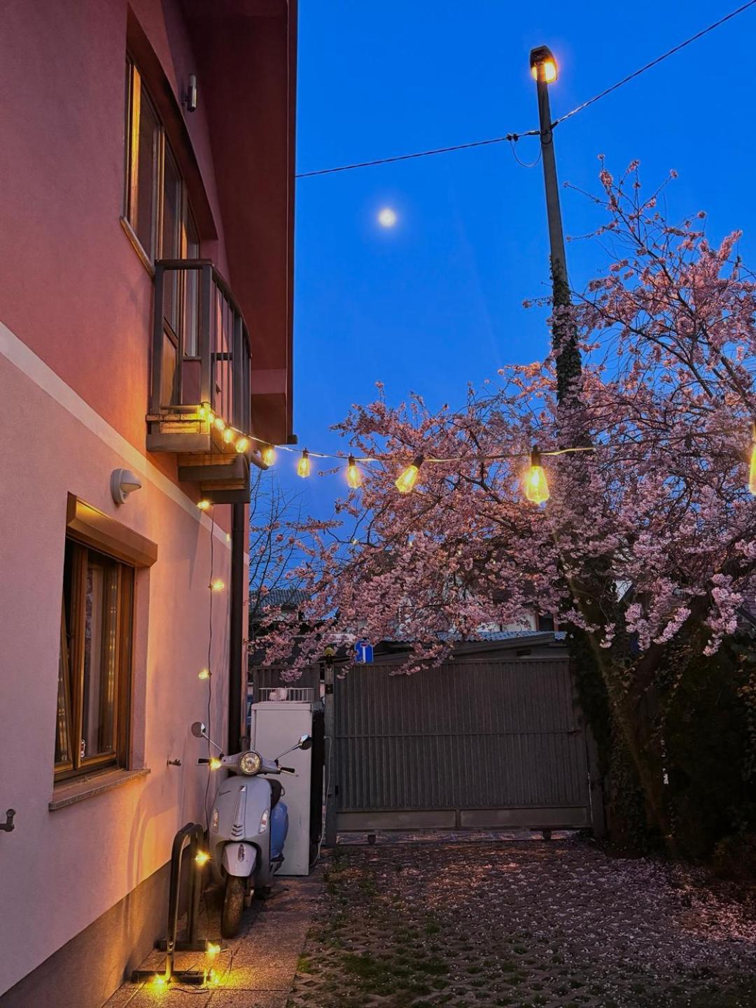 Hostel Buzahouse Lublana Zewnętrze zdjęcie